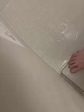 shiro 3 online show from February 14, 12:46 pm