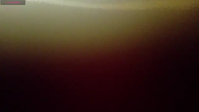 Snapshot of online_bestie chatting on February 19, 7:05 pm online bestie online show from February 19, 7:05 pm