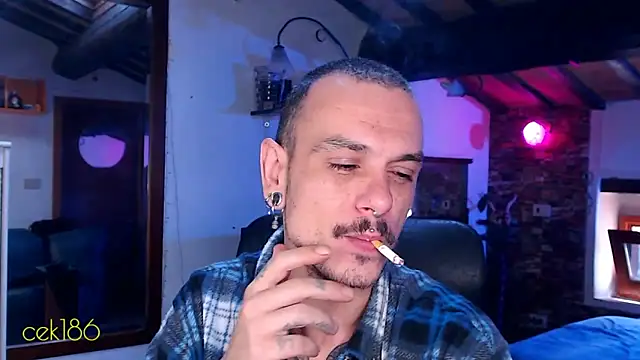 cek 186 online show from November 8, 8:47 am