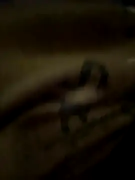 eveangelll online show from October 21, 3:51 am