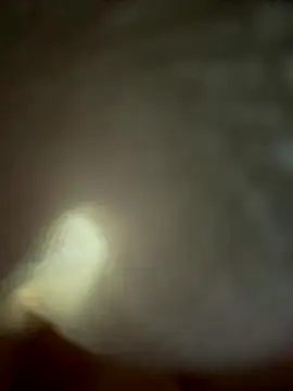 eveangelll online show from November 4, 4:55 am