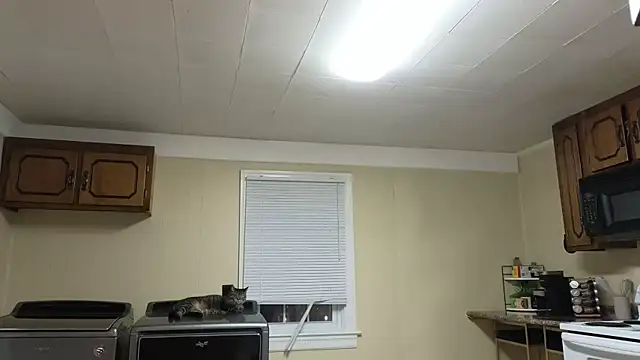 Snapshot of sexylilly69 chatting on October 13, 2:00 am sexylilly69 online show from October 13, 2:00 am