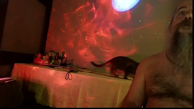 SexWorkerX online show from November 4, 11:59 pm