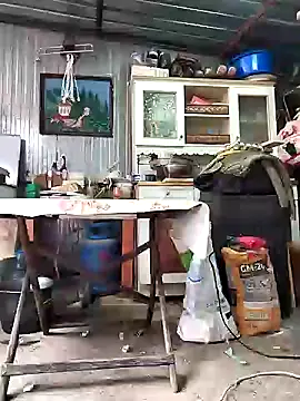 Sarpe84 online show from January 24, 9:17 am