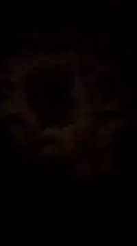 WreckedCrop online show from March 2, 8:29 pm