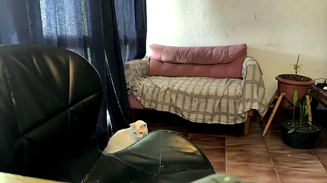 gerson173Hugo online show from January 7, 12:18 pm