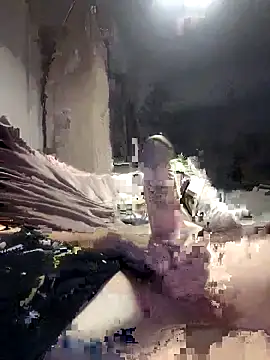 Bi-Sunny online show from October 11, 4:44 am