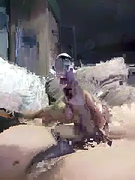 Bi-Sunny online show from November 17, 2:39 am