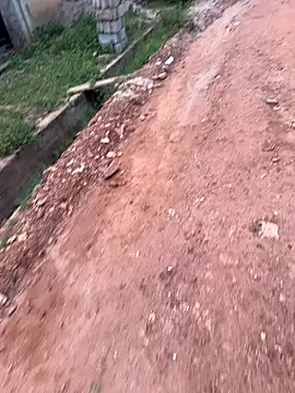 Black-mamba-madingo online show from September 10, 5:35 pm