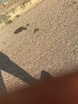 Black-mamba-madingo online show from September 30, 3:39 pm