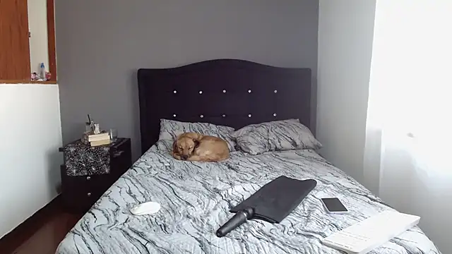 Emilia 1995 online show from February 11, 12:48 pm