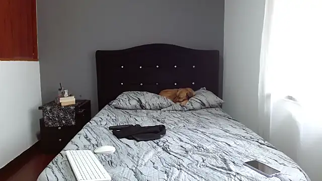 Emilia 1995 online show from February 13, 12:43 pm