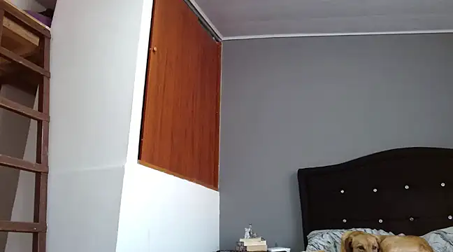 Emilia 1995 online show from February 28, 12:42 pm