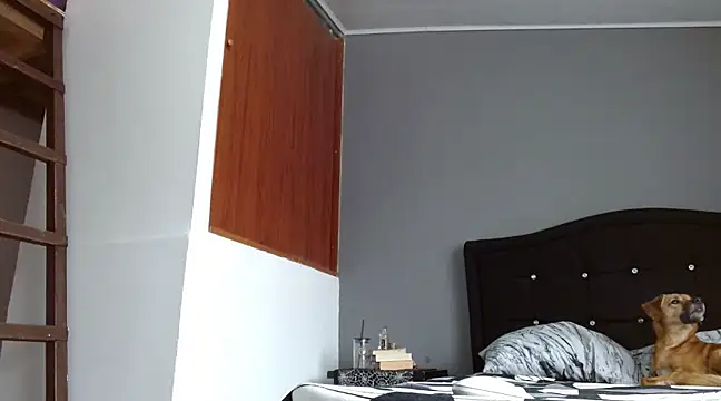 Emilia 1995 online show from March 16, 6:23 pm