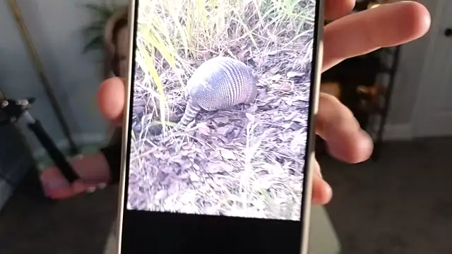 rodeobrii online show from November 17, 3:34 am