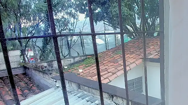 barbara cambels online show from September 27, 8:25 pm