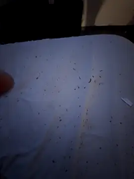 Csucsukahhh online show from December 30, 9:08 pm