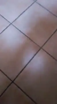 ZorraidaGiroNina online show from February 3, 4:10 pm