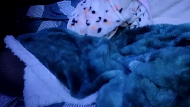 Donostipa online show from April 2, 7:50 am