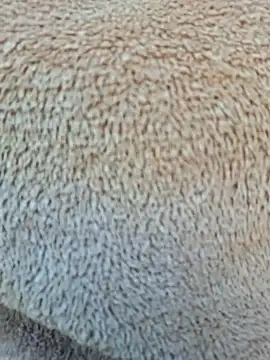 Priya Bong online show from January 15, 4:06 am