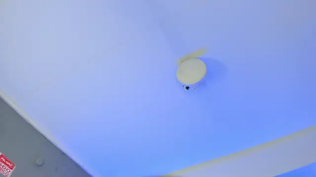 ArigyGomez online show from November 14, 11:24 pm