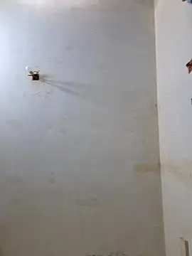 Snapshot of Derry_Cooper chatting on February 8, 6:55 pm Derry Cooper online show from February 8, 6:55 pm