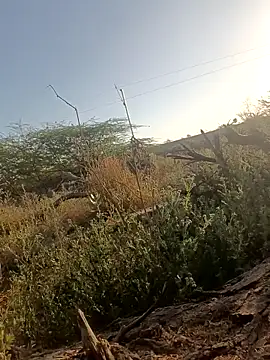 Snapshot of lovesuna chatting on March 5, 2:25 am lovesuna online show from March 5, 2:25 am