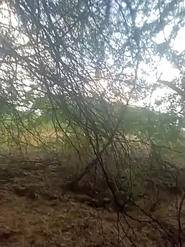 Snapshot of lovesuna chatting on September 30, 1:32 am lovesuna online show from September 30, 1:32 am