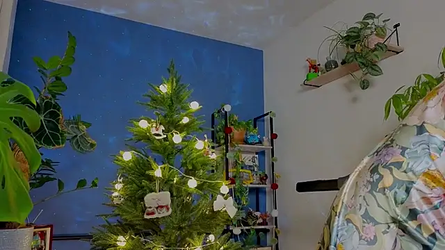  lightmyfire online show from December 5, 4:36 pm