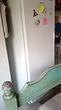 ConeNella online show from January 8, 3:07 pm