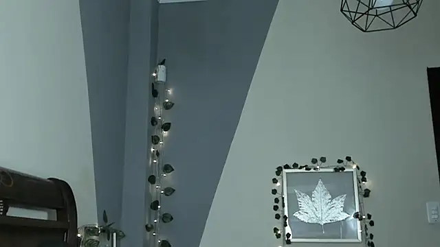 Snapshot of BlueBerry____ chatting on December 22, 1:02 am BlueBerry online show from December 22, 1:02 am