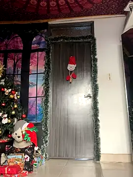  Artemisa X online show from December 4, 9:02 pm