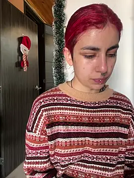  Artemisa X online show from December 11, 5:26 pm