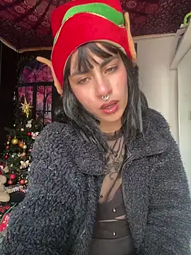  Artemisa X online show from December 27, 5:37 pm