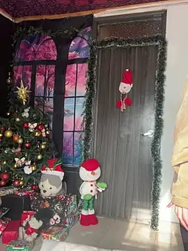  Artemisa X online show from December 28, 9:08 pm