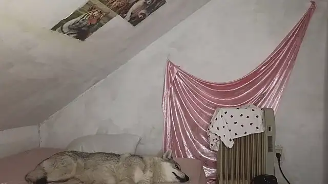 Snapshot of MAMA69LAMA chatting on March 9, 7:40 pm MAMA69LAMA online show from March 9, 7:40 pm