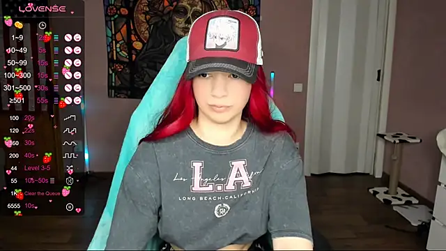 Project hisoka online show from January 1, 1:37 pm