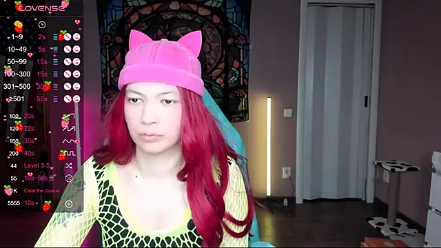 Project hisoka online show from February 1, 2:47 am