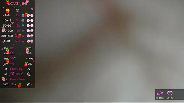 Project hisoka online show from February 8, 5:08 am