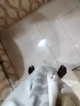 bas1cooks online show from December 22, 5:34 am