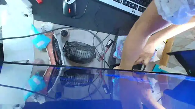 Lilyevansx online show from October 7, 6:05 pm