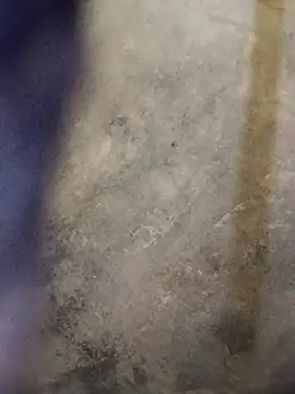 Yasha 14C Creator online show from October 18, 10:05 am