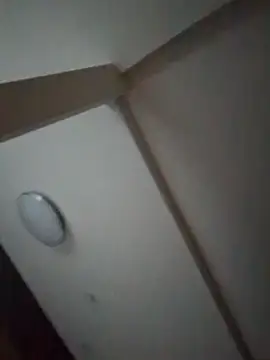 Snapshot of pnp0Japan chatting on February 27, 8:50 am pnp0Japan online show from February 27, 8:50 am