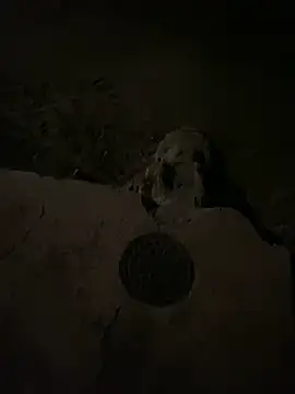 nowex18 online show from March 6, 6:52 am