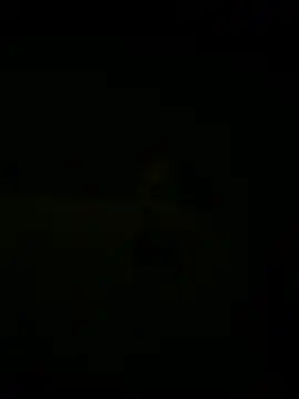 nowex18 online show from March 18, 5:41 am