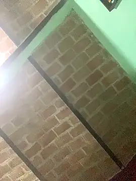 nowex18 online show from November 10, 1:48 am