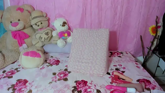 Dana Jeins online show from November 27, 1:13 pm