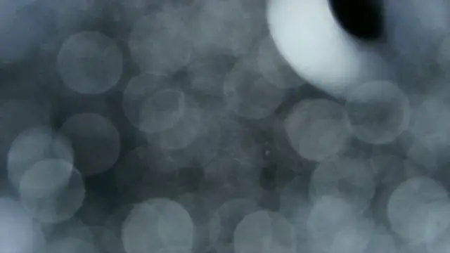 0815lukas2024 online show from December 22, 3:58 am