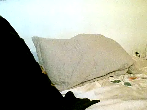 pollarikaaa online show from October 14, 1:23 pm