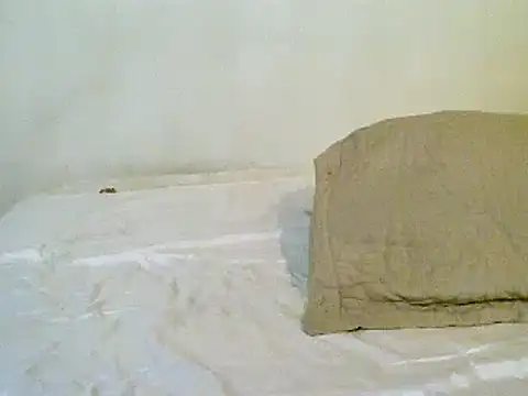 pollarikaaa online show from November 10, 1:37 am